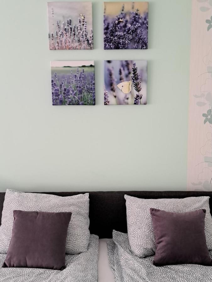 Soul Hotel Palic Bagian luar foto